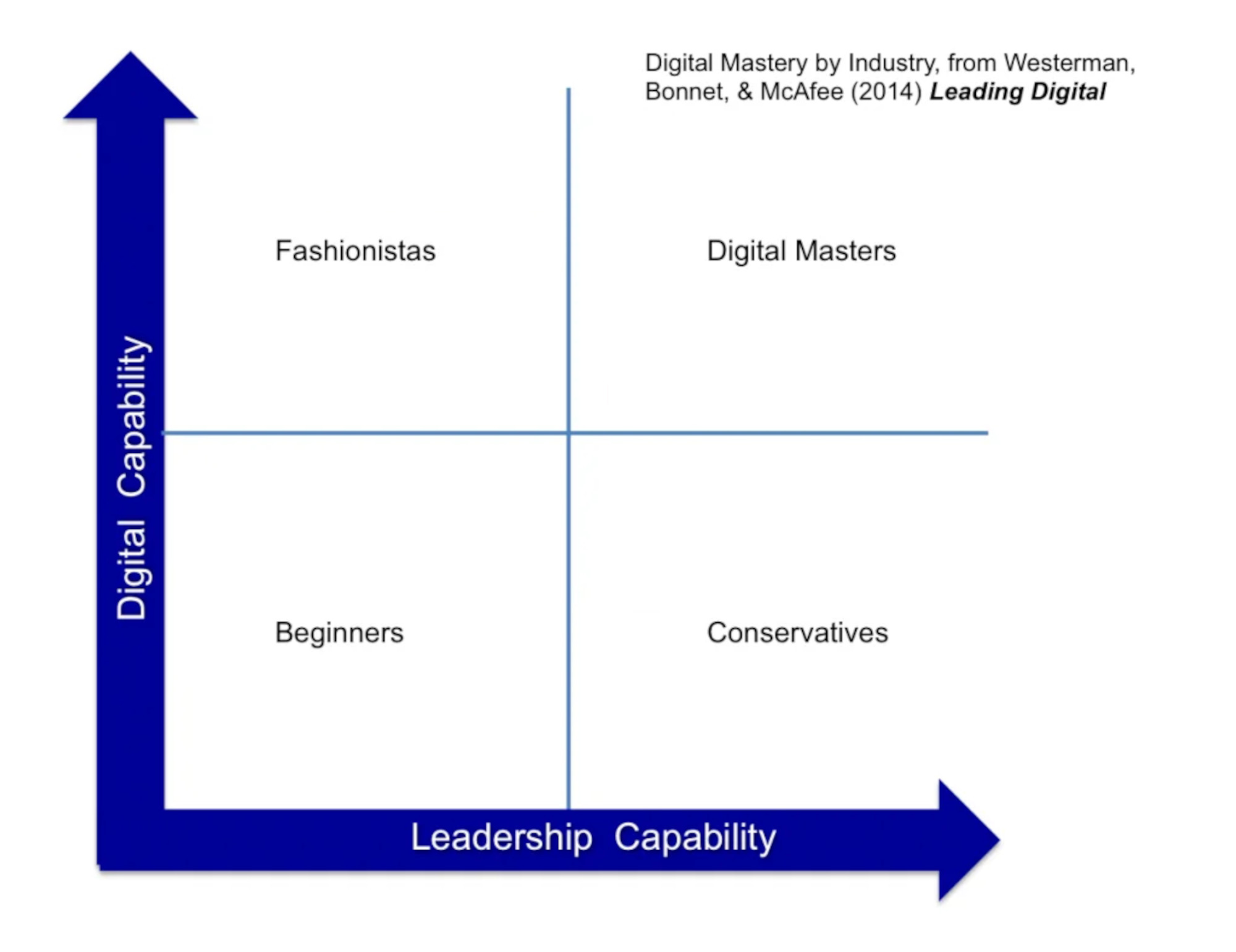 Digital Mastery Framework